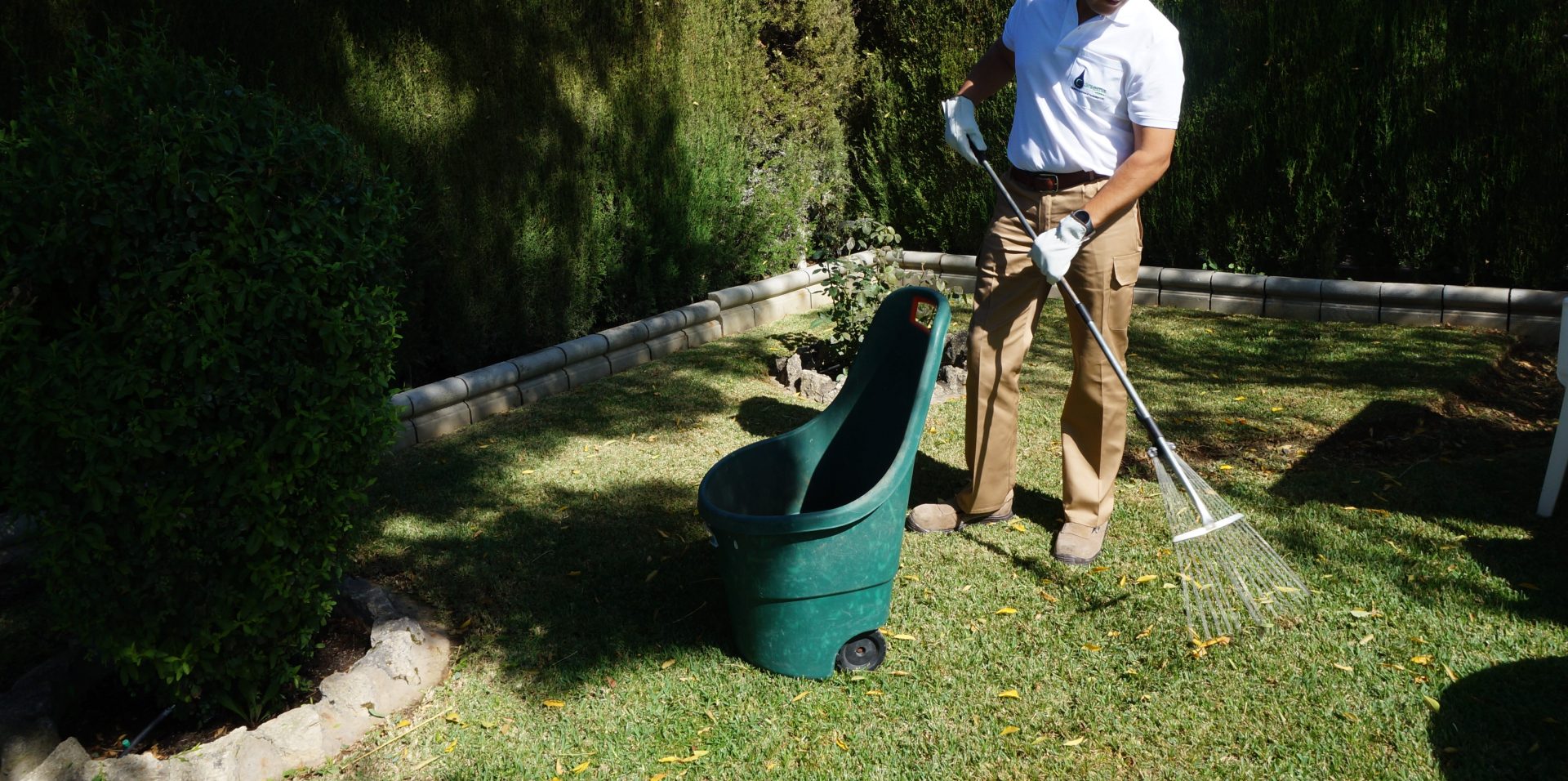 servicio de jardineria